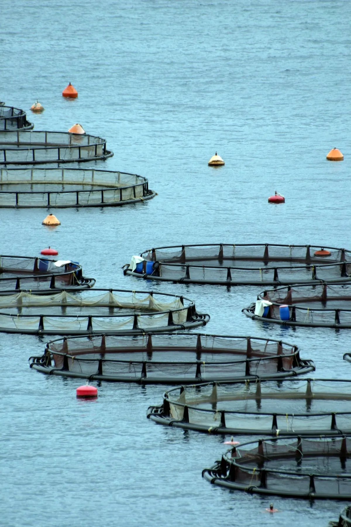 Sea cages at a fish farm in Greece